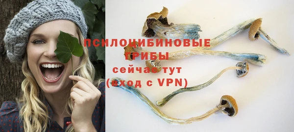 спайс Абинск