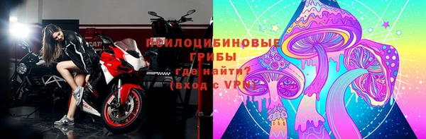 шишки Пролетарск