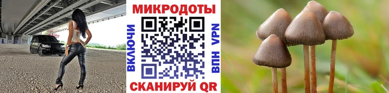 Псилоцибиновые грибы Psilocybe  где купить наркоту  Кашира 