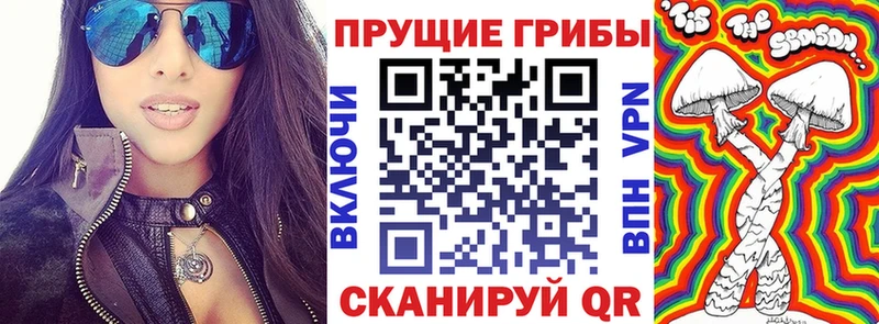 Псилоцибиновые грибы мицелий Кашира