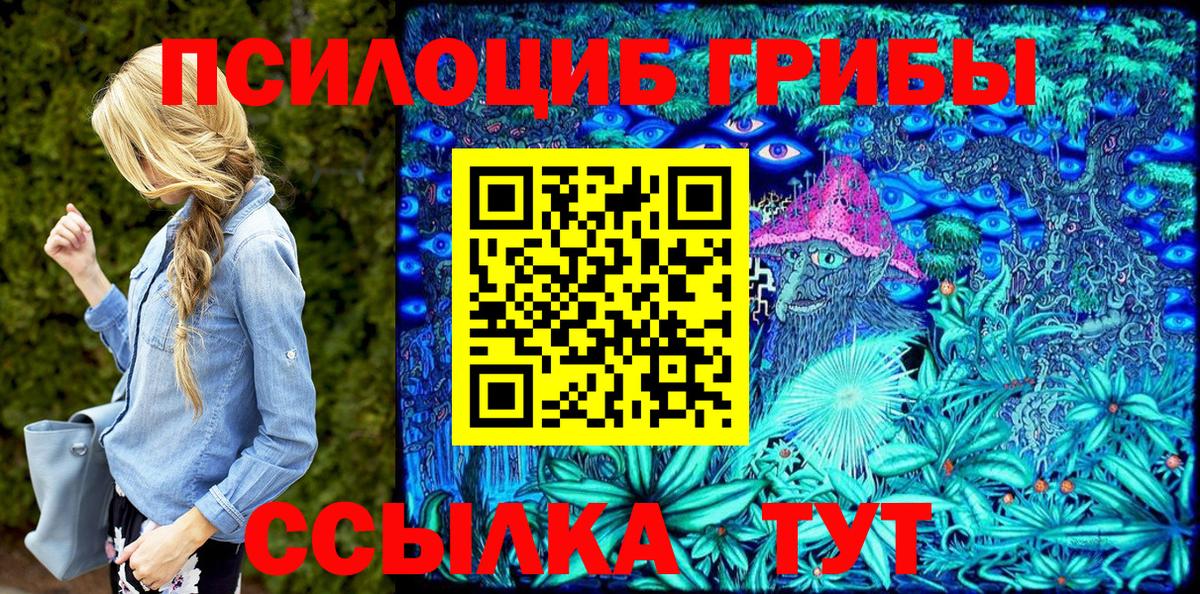 Псилоцибиновые грибы Cubensis Кашира