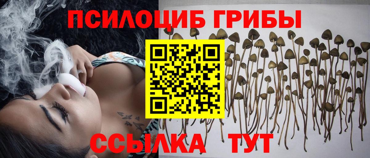 Кашира  Галлюциногенные грибы MAGIC MUSHROOMS  Галлюциногенные грибы прущие грибы  Вход с VPN 